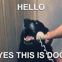 CALLDOG / USDC