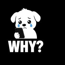 WHYDOG