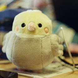 lilguy / BNB