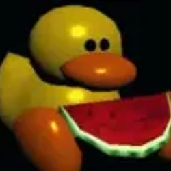 DUCK⁠