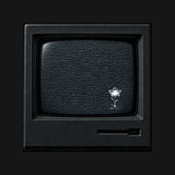 COMPUTA