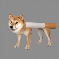 nicotinu