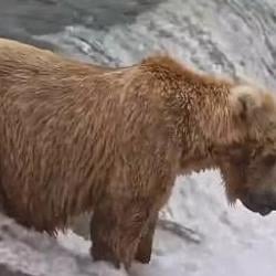 Katmai / BNB