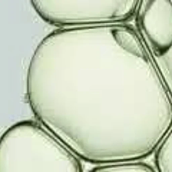 BOTANIC-1