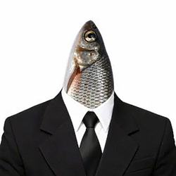 Fi