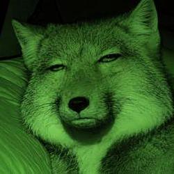 GN