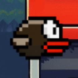 NBIRD