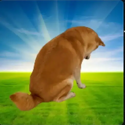 Inuf