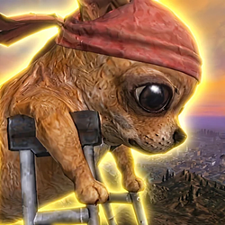 CHIHUAHUA / SOL