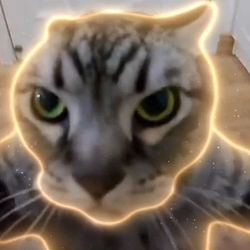 Tai Lung