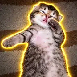 dabcat