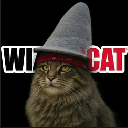 WIZARDCAT / SOL