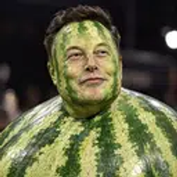 MELONMUSK