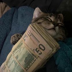 KITTY