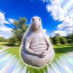 WOSH / SPCX