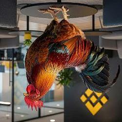 反鸡币