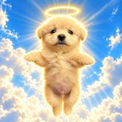 ASCEND