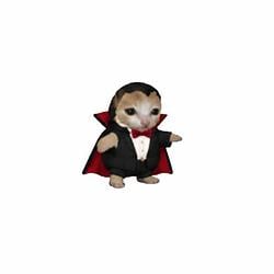 Vampurr / SOL