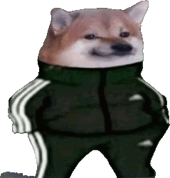 slavinu