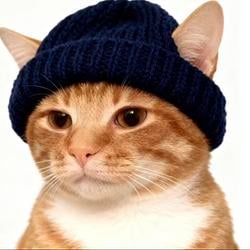CATWIF