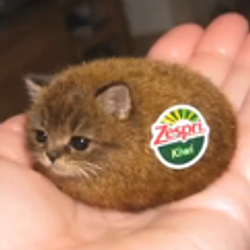 KIWI / SOL