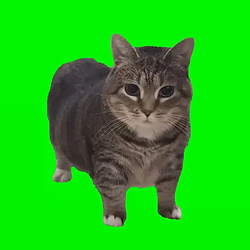 spin