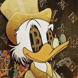 Duck / SOL