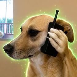 calldog