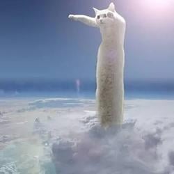 LONGCAT