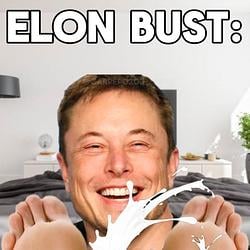Elon Bust