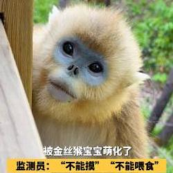 小点点 / BNB