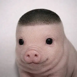 Wigger Piglet logo