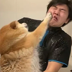 PUNCH