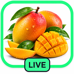 MANGO / SOL