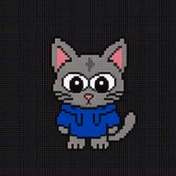 Cat / SOL