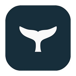 VANE