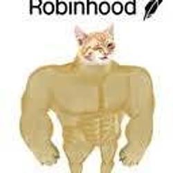 ROBINHOOD / USDG