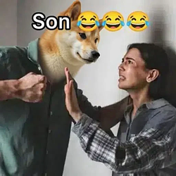 SI