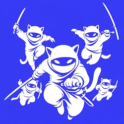 NINJAS