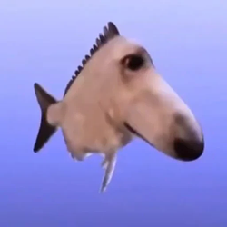 fishdog