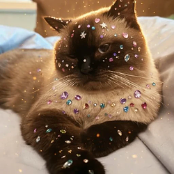gemcat