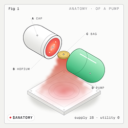 ANATOMY