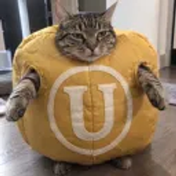 ULCAT