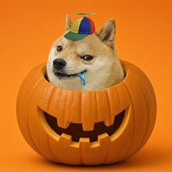 PUMPDOG
