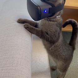THRCAT