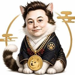 NEKO / SOL