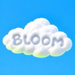 BLOOM / WETH