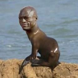 Seal / SOL