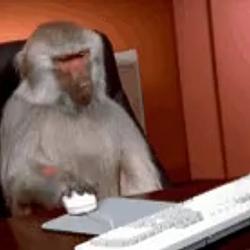 apecoin