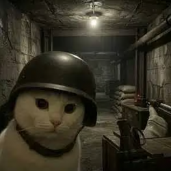 BCAT